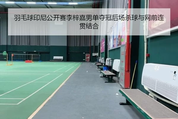 羽毛球印尼公开赛李梓嘉男单夺冠后场杀球与网前连贯结合