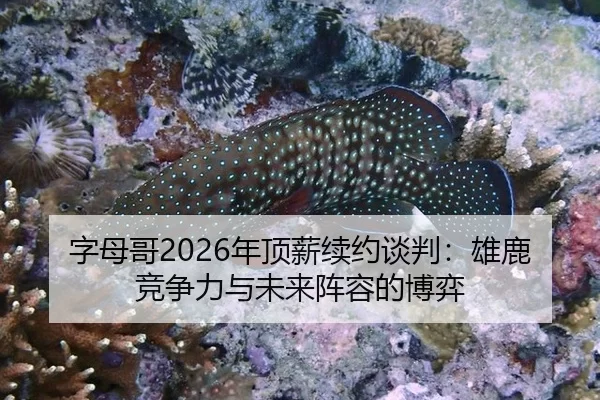 字母哥2026年顶薪续约谈判：雄鹿竞争力与未来阵容的博弈